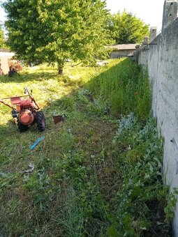Kosenie a vertikulovanie trávniku. - 10