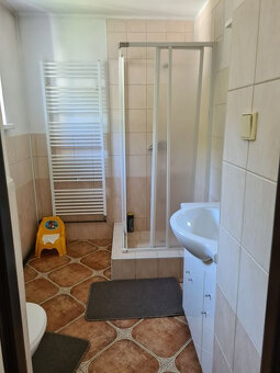 Zaujímavá väčšia nehnuteľnosť na bývanie, podnikanie, prípad - 10
