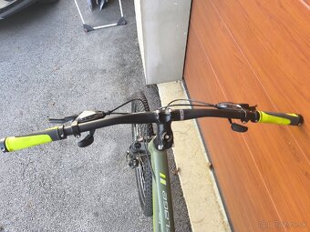 Vedora Camouflage - 10