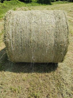 Krone Bellima F 130 - 10