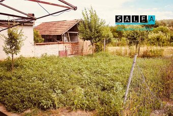 Slnečný rodinný dom, 140 m2, letná kuchyňa, Plášťovce, okr. - 10