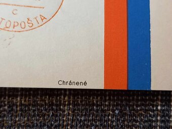 Slovensky snem - Slovensky Stat - ORNAMENT - Kostelnicek - 10