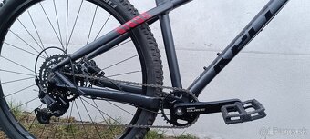 Kellys Gibon 10 - 10