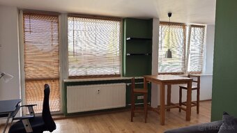 1-izb. byt ul. Fibichova, centrum, v blízkosti Auparku - 10