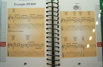 príručka hry na elektrickú gitaru - ladička na el. gitaru - 10