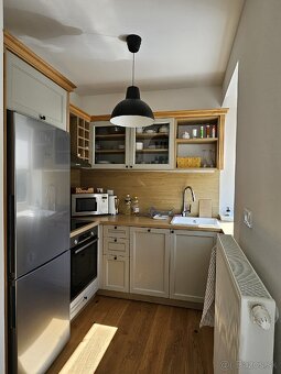 1 izbovy byt na prenajom - 10