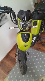 Predam elektro model Hecht Betis - 10