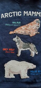 Mikiny pre chlapcov (bez zapínania),veľ.110, 110/104, 104/98 - 10