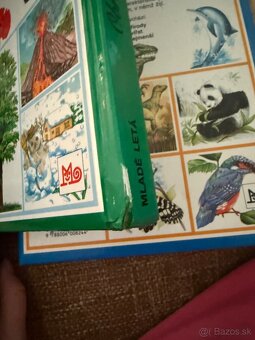 Séria Obrázky - 10