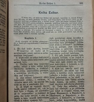 Starožitná Biblia Česká - 10