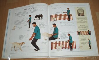 Výchova a výcvik psa - 10