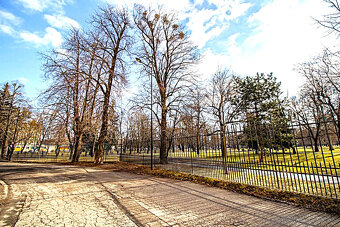 Historická Vila,roh Svätoplukovej,Löfflerovej, blízko Centra - 10