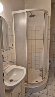 Prenajmem 1 izbovy byt v PD - cast Necpaly - 10