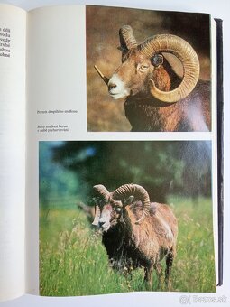 Predám odbornú poľovnícku literatúru - 10