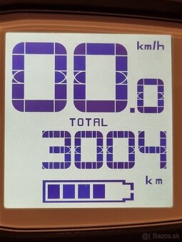 Horský elektrobicykel MTF Hill 9.0 - 10