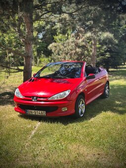 Peugeot 206CC - 10