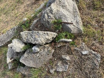 Darujem suť za odvoz ZH - 10