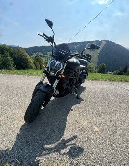 Benelli 502C Cruiser, motorka, motocykel - 10