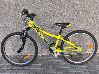 Detský bicykel Alpina Rockstar 30 - 10