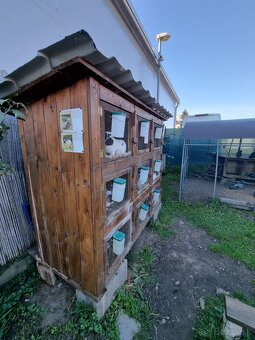 KRÁLIKAREŇ -ZAJAČNÍK - 10