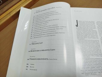 BAROK--1998-Dejiny slovenského výtvarného umenia--Rusina Iva - 10
