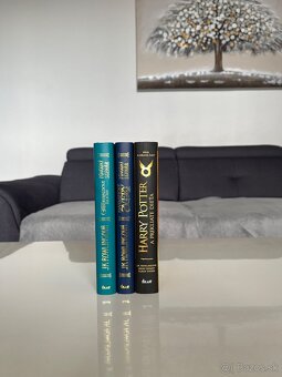 Harry Potter - 10
