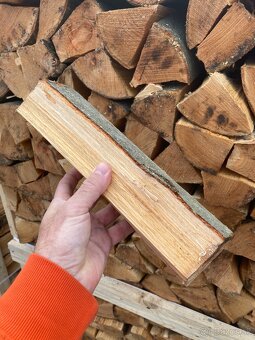 Palivo palivové drevo krbove buk - 10