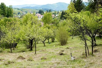 Slnečný pozemok s výhľadom a súkromím v Nízkych Tatrách - 10