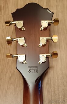 Elektroakustická gitara-jumbo Ibanez AEL 20EVV1202-top stav - 10