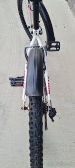 Ctm 24" willy - 10