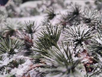 Vianočná girlanda - 10