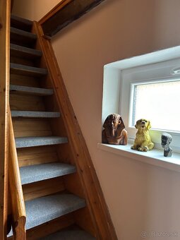 Chata Domaša kompletná rekonštrukcia 538m2 s pozemkom - 10