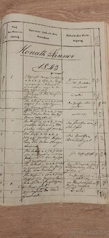 Predám Politisches Einreichungs-Protocoll - 10