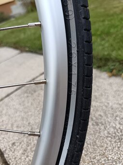 Bike Dynamax - 10