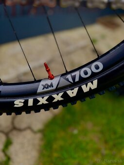 Santa Cruz Tallboy 4 CC 29’ L - 10