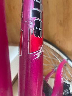 Dievčenský bicykel Alpha, veľkosť kolies 24” - 10
