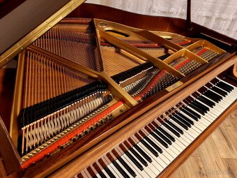 Nepremeškajte Najmenšie klavírne krídlo - 10