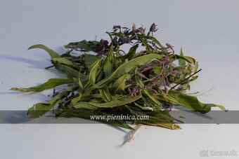 Pieninica sušené byliny 2025 - 10