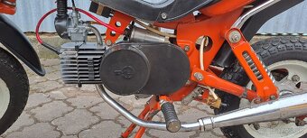 Stella - 10