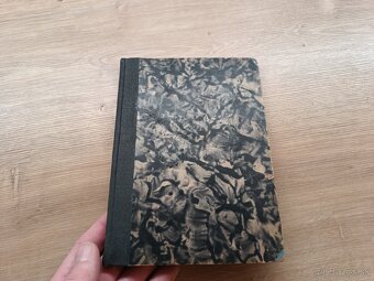 O vtáčkoch letáčkoch 1933 ilustrácie Fulla - 10