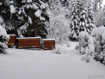 Predam domec pre 5 ulov - 10