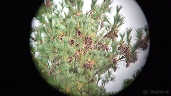 Ďalekohľad BPC 15X50 SOTEM - 10