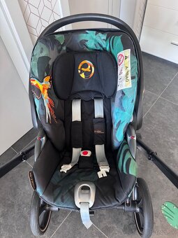 Priam Lux Birds of Paradise - 10