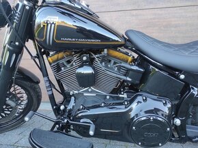 Harley Davidson Softail 2013 - 10