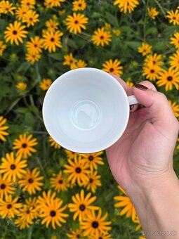 Porcelánová čajová súprava Thun Angelika – komplet, nový sta - 10