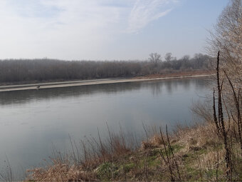 NOVÁ CENÁ GABČÍKOVO - NA PREDAJ rekreačný a lesný pozemok - 10