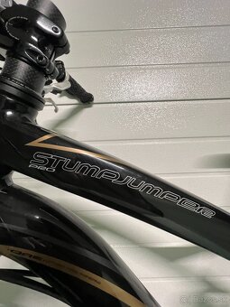Specialized Stumpjumper Pro - 10