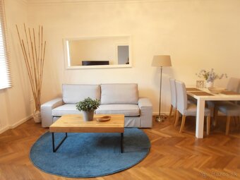 Prenájom veľký 2 izb. byt pri Medickej záhrade, Staré Mesto - 10