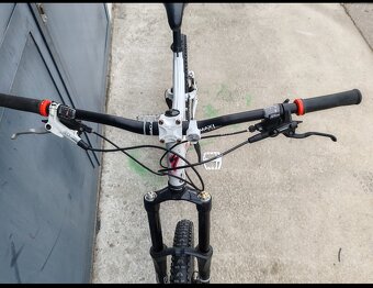 Downhil Specialized - 10