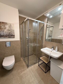 Prenájom 1,5 izbový byt Blumental,Staré mesto - 10